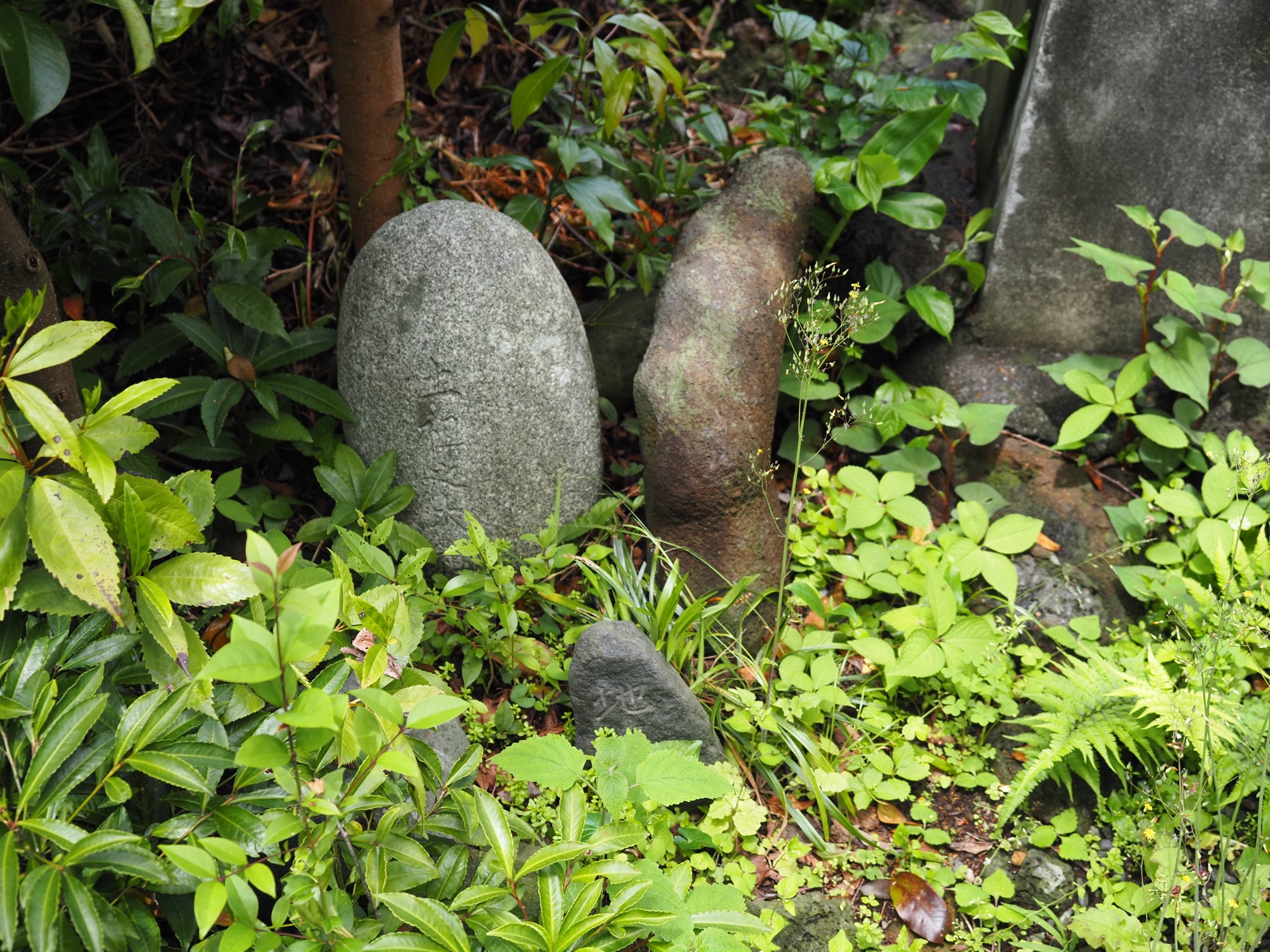 城山浅間神社