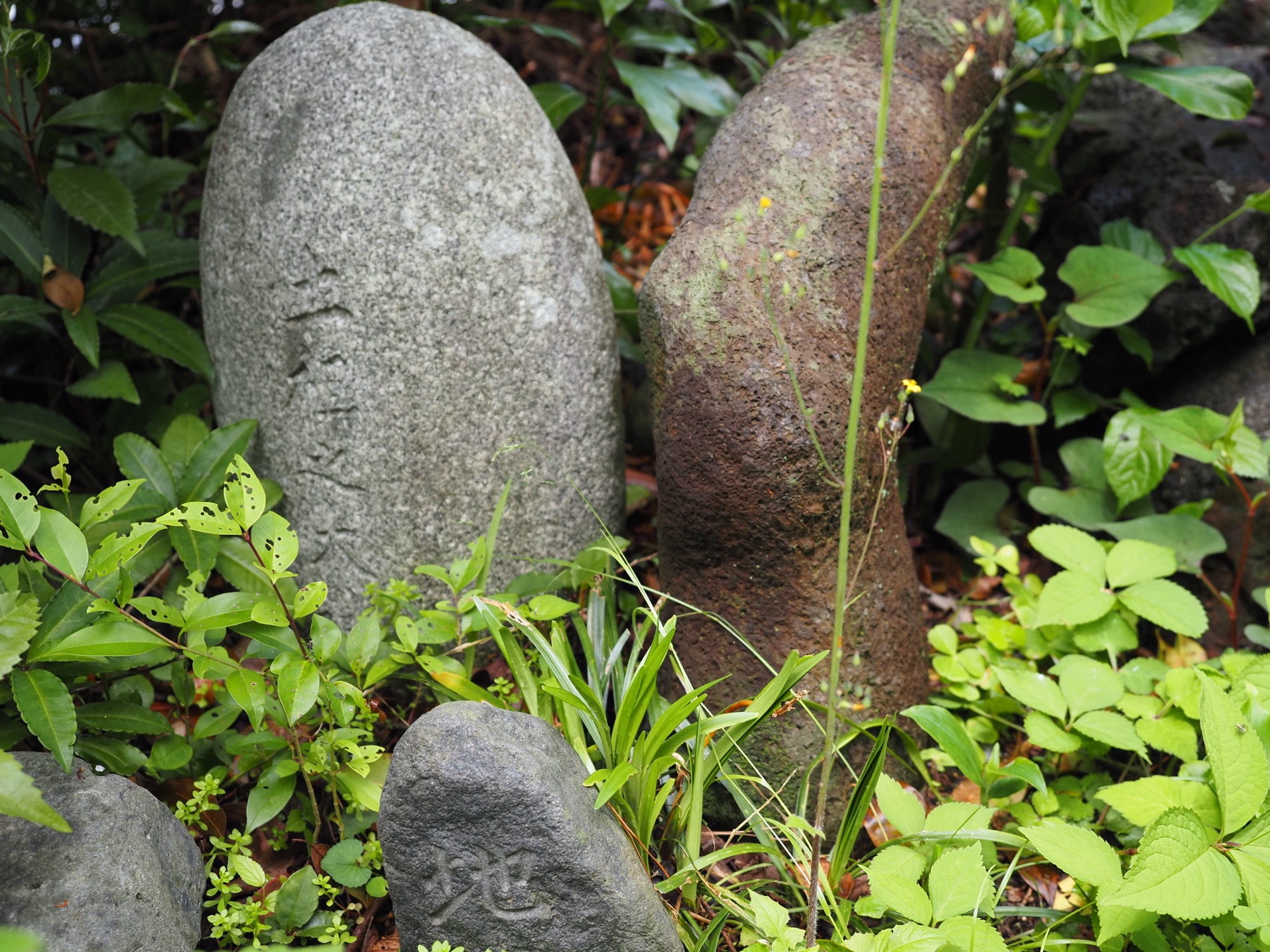 城山浅間神社
