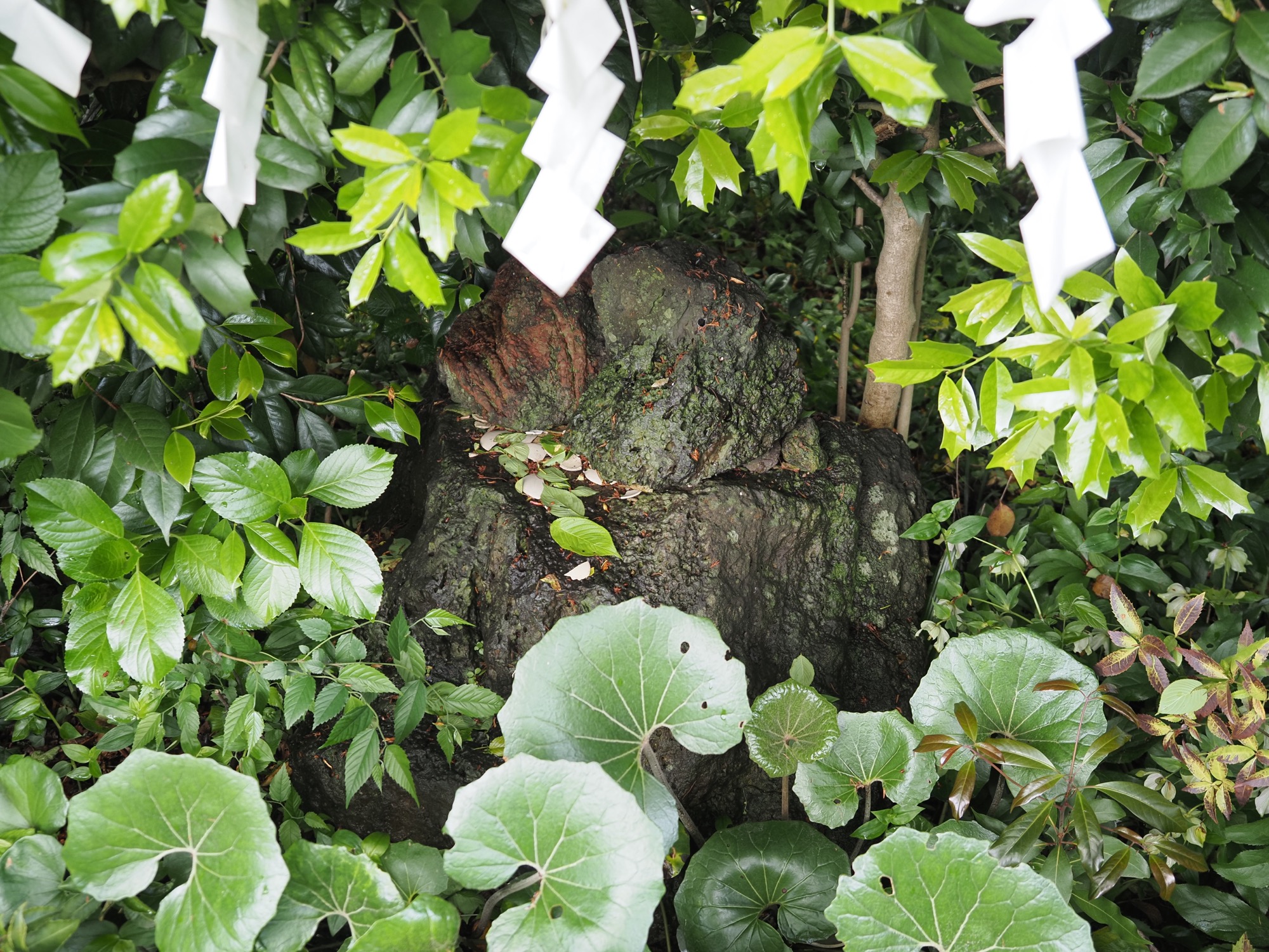 城山浅間神社