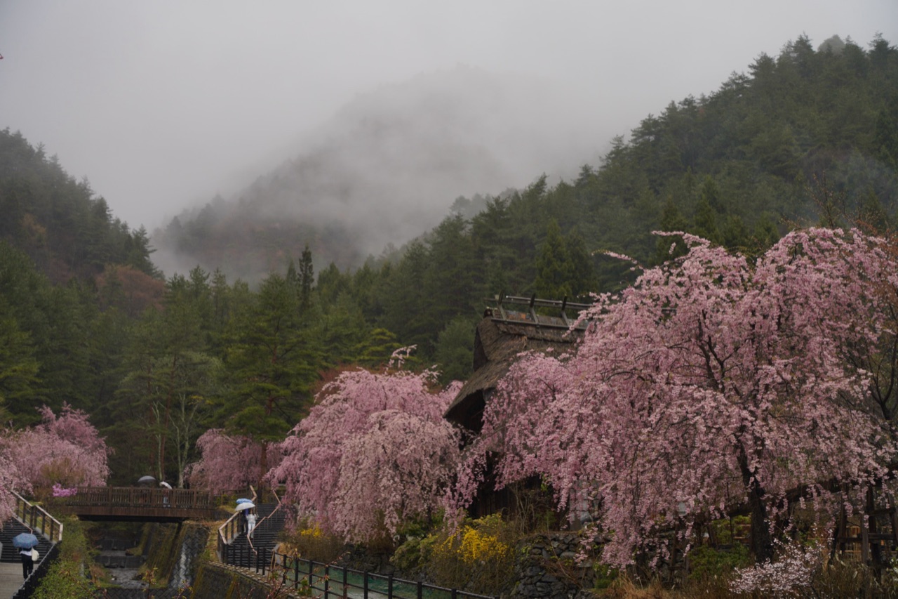 西湖根場