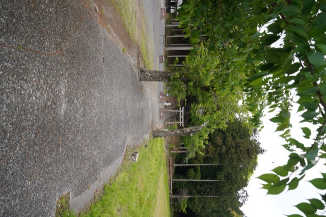Hitoanana Fuji-kō Heritage Site and Sengen Shrine