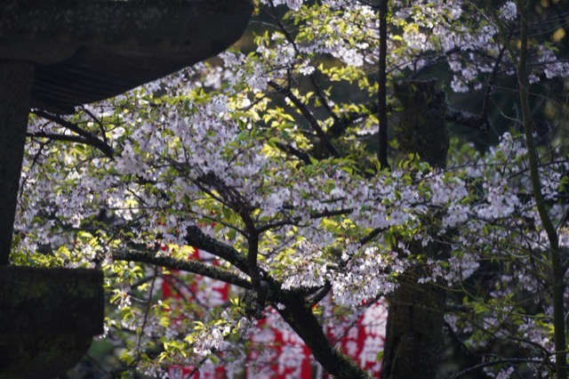 北口本宮冨士浅間神社