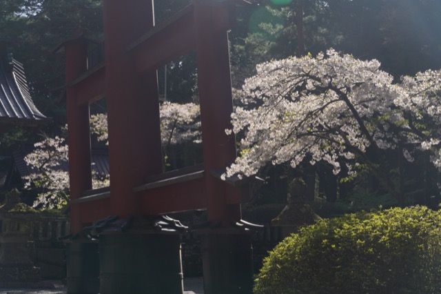 北口本宮冨士浅間神社