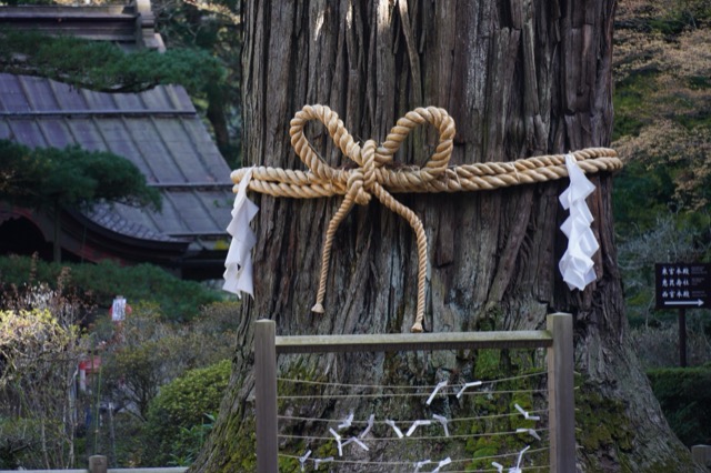 北口本宮冨士浅間神社