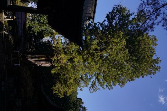 北口本宮冨士浅間神社
