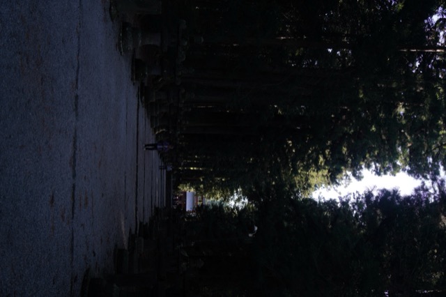 北口本宮冨士浅間神社