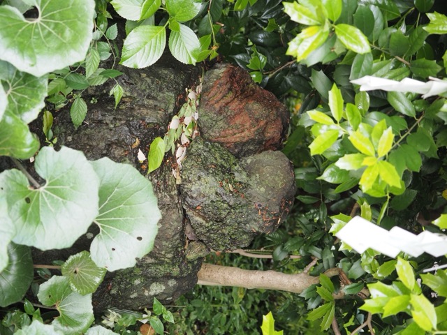 Shiroyama Sengen Shrine
