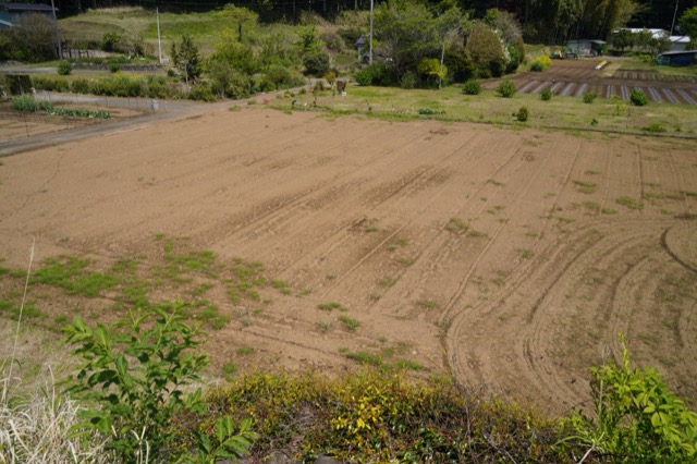 Daikyōbō Cemetery and Temple Site