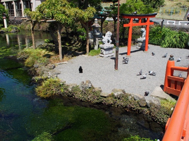 富士山本宮浅間大社