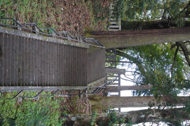Yamashiro Sengen Shrine