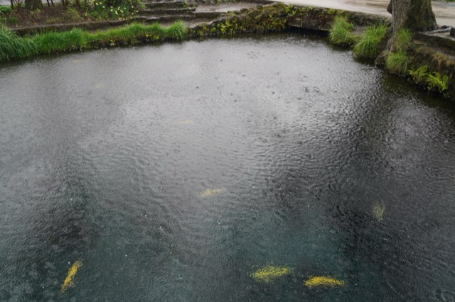 Oshino Hakkai — Eight Springs of Oshino