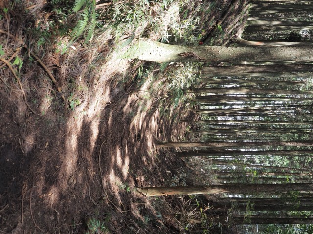 村山浅間神社