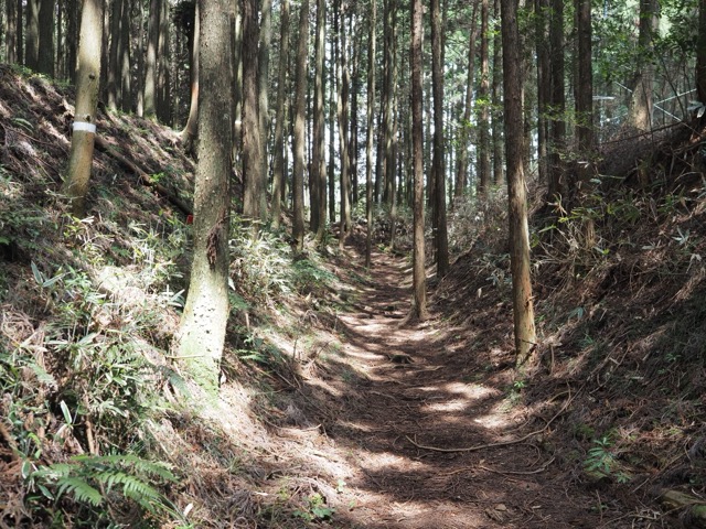 村山浅間神社
