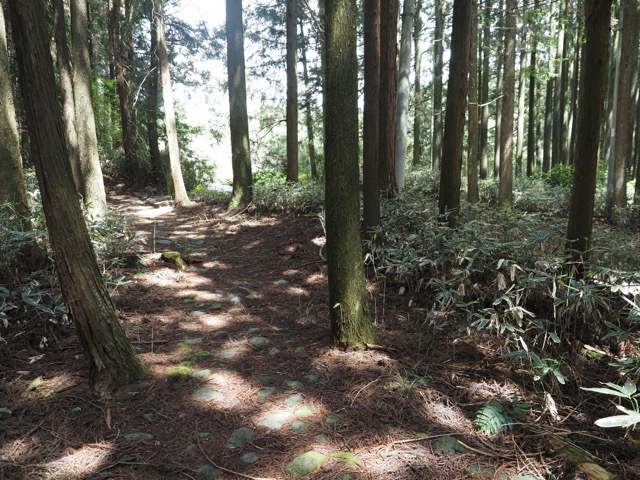 村山浅間神社