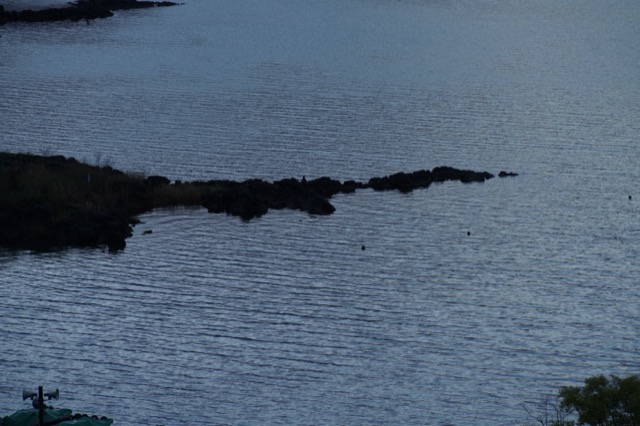 河口湖大橋・河口湖