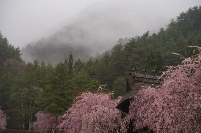 西湖根場