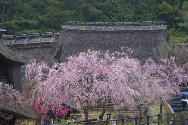西湖根場