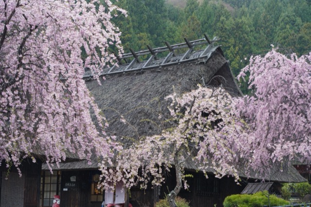 西湖根場