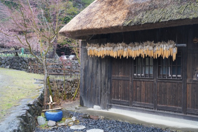 西湖根場
