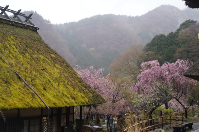 西湖根場