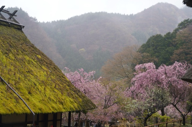 西湖根場