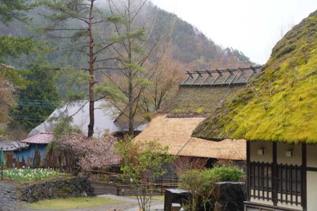 西湖根場