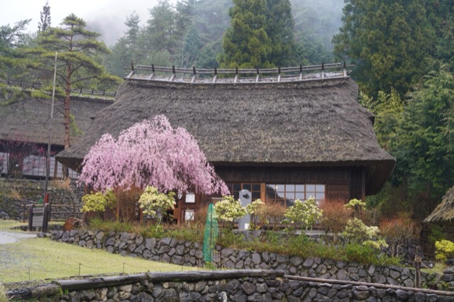 西湖根場