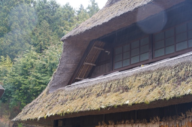 西湖根場