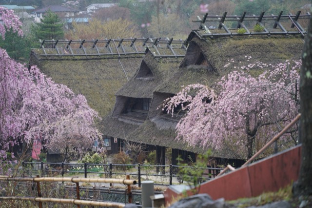 西湖根場