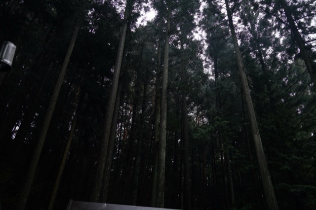 西湖根場