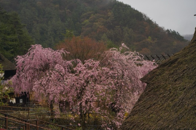 西湖根場