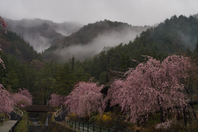 西湖根場