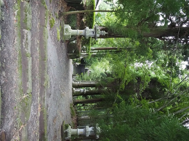 阿蘇山・阿蘇神社・国造神社